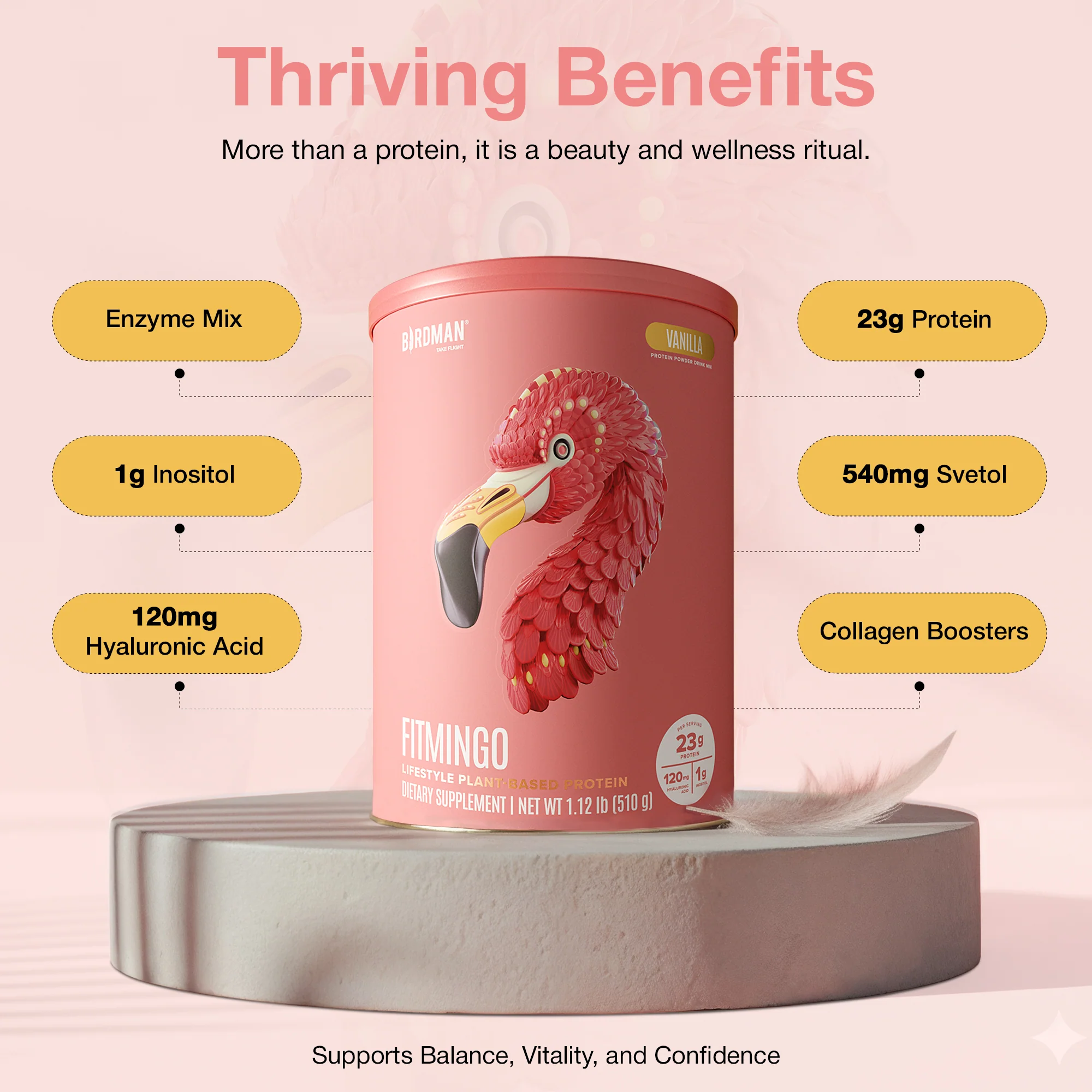 Fitmingo Plant Based Protein Powder - Vanilla Flavor - 1.12lbs - Image 3