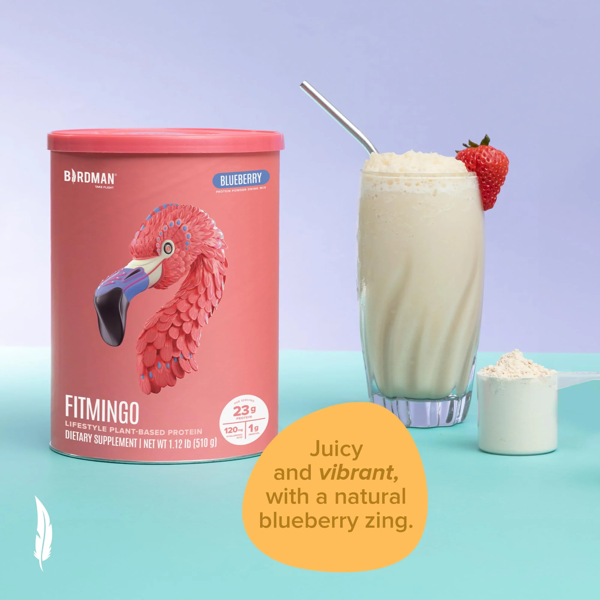 Fitmingo Plant Based Protein Powder - Blueberry Flavor - 1.12lbs - Image 7