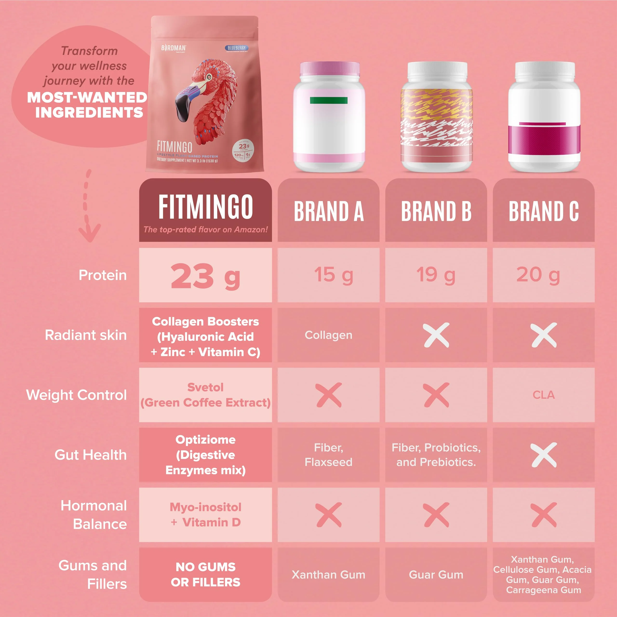 Fitmingo Plant Based Protein Powder - Blueberry Flavor - 3.3lbs - Image 6